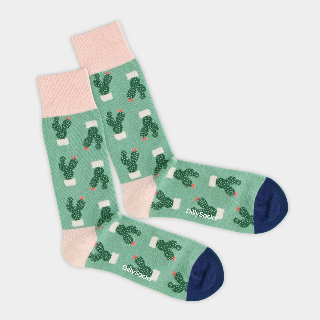 Succulent Sock-photo-1