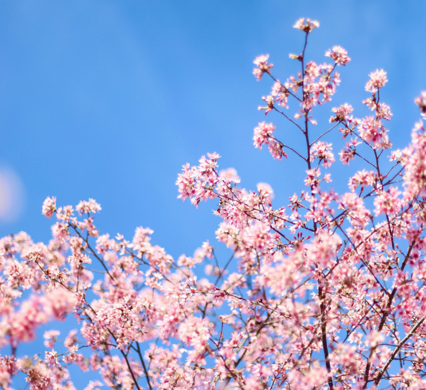 banner-4-photo-left