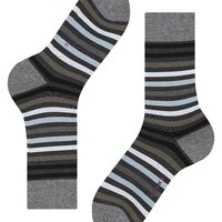 Tinted Stripe-thumb-1