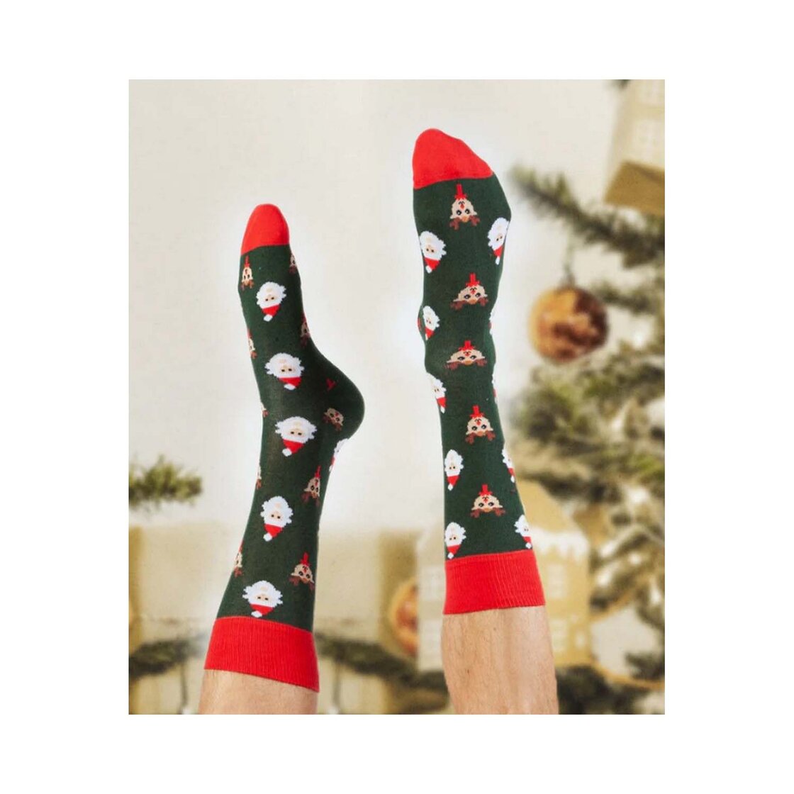 Rudolphinte Forest-photo-1