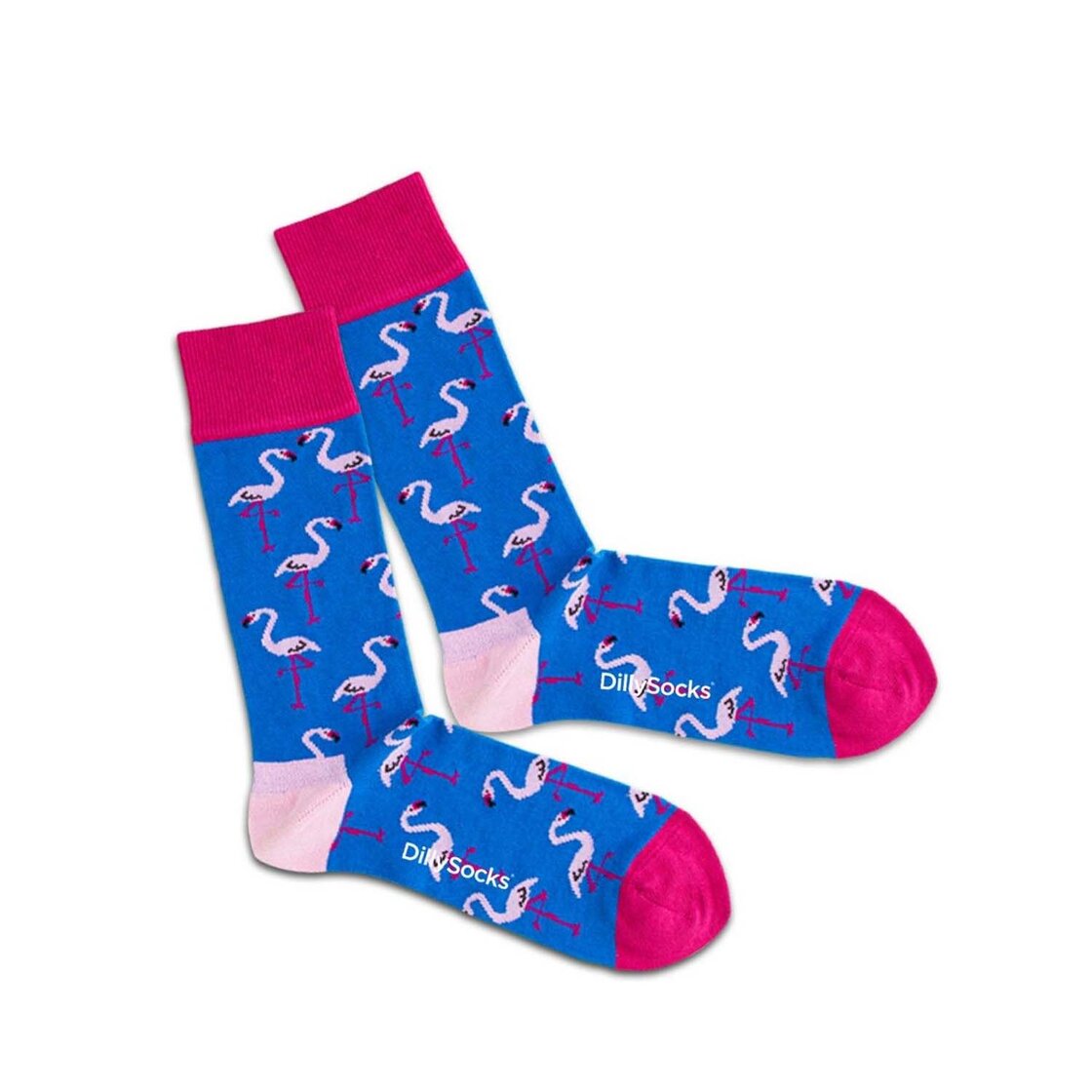 Flamingo Lake-photo-1